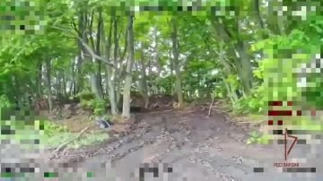 ������������ ���������� ��������������� ���������� ������� ���