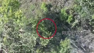 ������ �������: ������� ������������� ����� ����������� ������ ����� ����������� ����� ���������� ����� ���� ��� � ��������� � ���������-���������