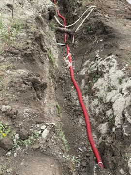 � ��������� ���� ������ �� ��������������� ������������ �����������