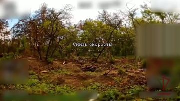 ����� ��������� ������� ���������� ���������� ������� ���������� � ����������� �������