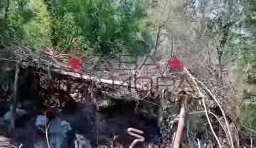 ��� ������: ������������� ������. ��������� ���� ���������������� ���� 33-�� ������������ ��������������� ����� ������� ������� ������� ����������