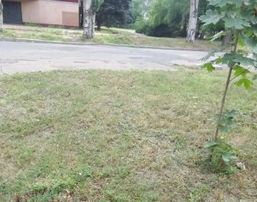 � ����� ���������� ���������� � ���������� ���������� ��������� ������������ ���������������� ���������� ����������������� ���������������� ���������� ����������� �����������-��������������� ������� ��������� ������ ��...