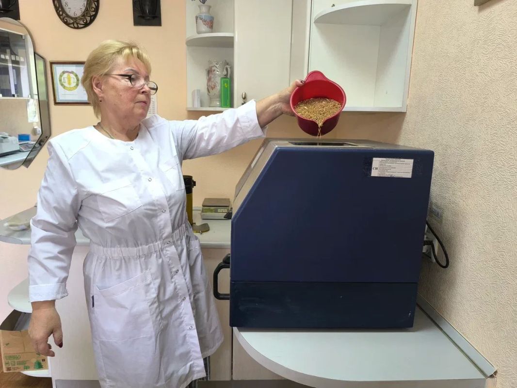 В Россельхозцентре оценили качество зерна нового урожая на Донбассе В Россельхозцентре оценили качество зерна нового урожая на Донбассе