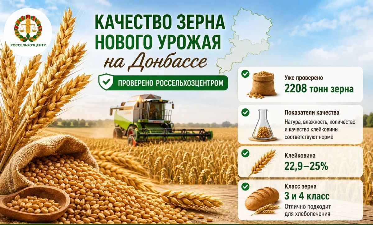 В Россельхозцентре оценили качество зерна нового урожая на Донбассе В Россельхозцентре оценили качество зерна нового урожая на Донбассе