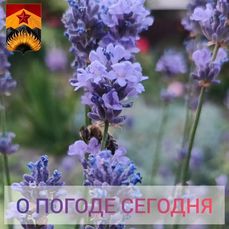 Гидрометцентр сообщил о погоде в Шахтерском округе