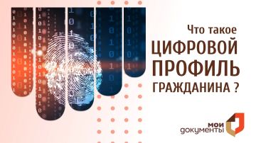Что такое цифровой профиль гражданина?