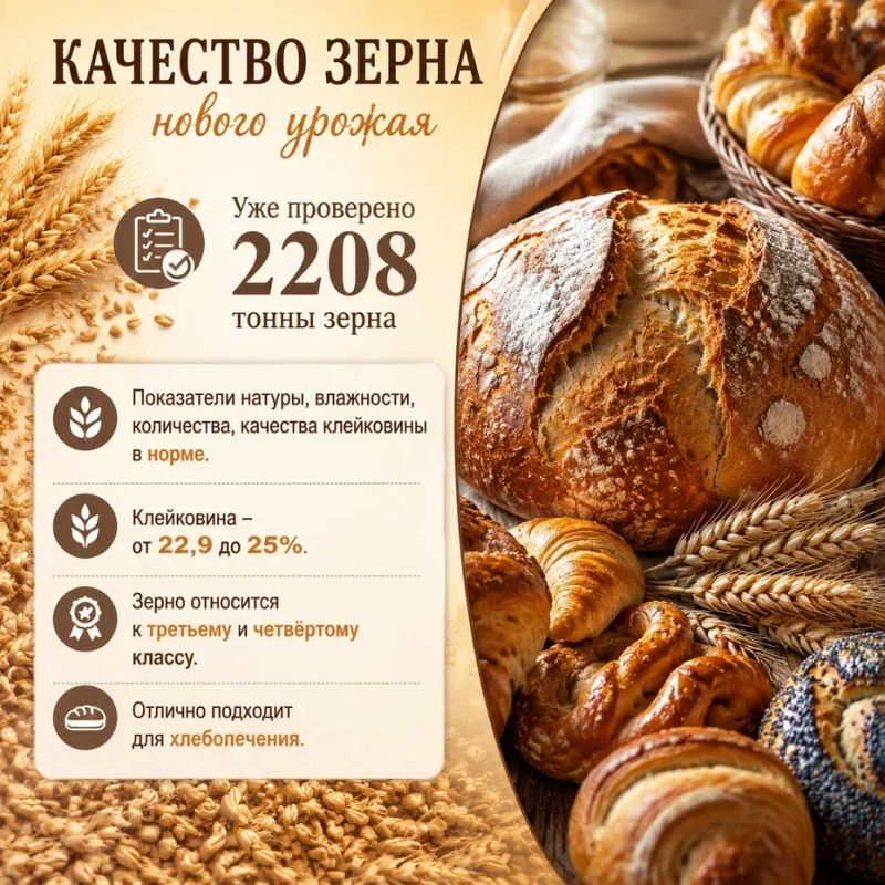 В Россельхозцентре оценили качество зерна нового урожая на Донбассе В Россельхозцентре оценили качество зерна нового урожая на Донбассе