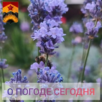 ������������� ������� � ������ � ���������� ������