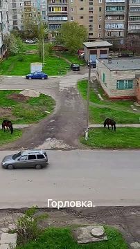 Тем временем Горловка переходит на экотранспорт мощностью в одну лошадиную силу