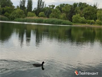 ����� ��������: ������ ����, ������� �����!