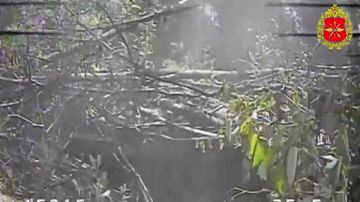 ���������� ������: 00:00 ��������� ������� ���� ����������� ������ ���������� ���� ���������� � ����������� �������, � ����� � ����� FPV-������ � ����� ���������� ���������� �������������� � ������� �������
