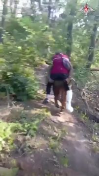 ����� �� �� �� ��� ��� ������ �� �������������� 20 ������ �������