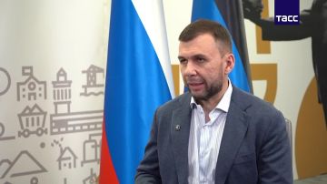Глава ДНР рассказал, что ВС России продолжают дозачистку Константиновки