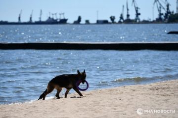 Погода на новых территориях России