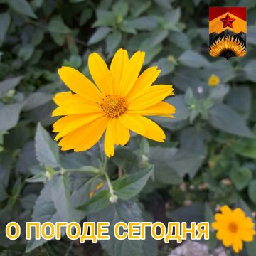 ������������� ������� � ������ � ���������� ������