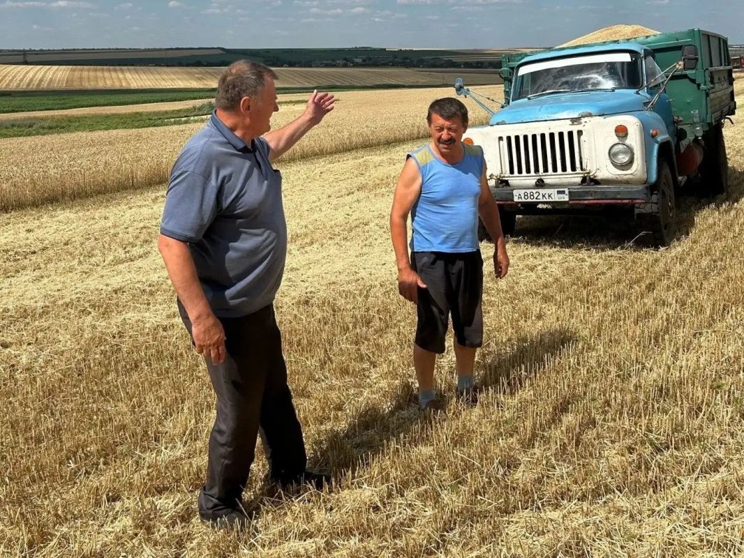 В Амвросиевском муниципальном округе началась уборка зерновых культур В Амвросиевском муниципальном округе началась уборка зерновых культур