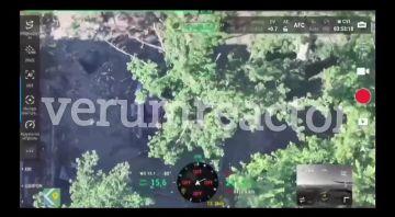 #���������. ����� ��������-������ 19 �� ����������� � �����������