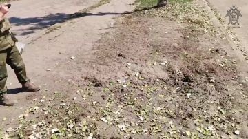 ������������� �� ������ ������������� ��������� ������������ ���, ����������� � ��������� ������� ��������� ���