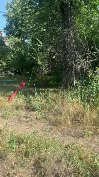 В Макеевке обнаружено место, где за это лето не ступала нога коммунальщика