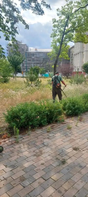 В Мариуполе продолжается активный покос травы В Мариуполе продолжается активный покос травы
