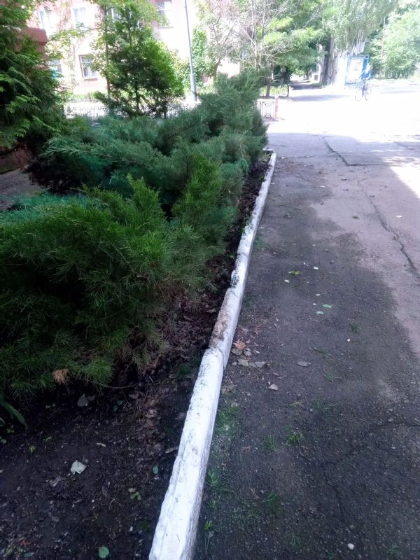 В Старобешевском округе продолжаются работы по благоустройству территорий В Старобешевском округе продолжаются работы по благоустройству территорий