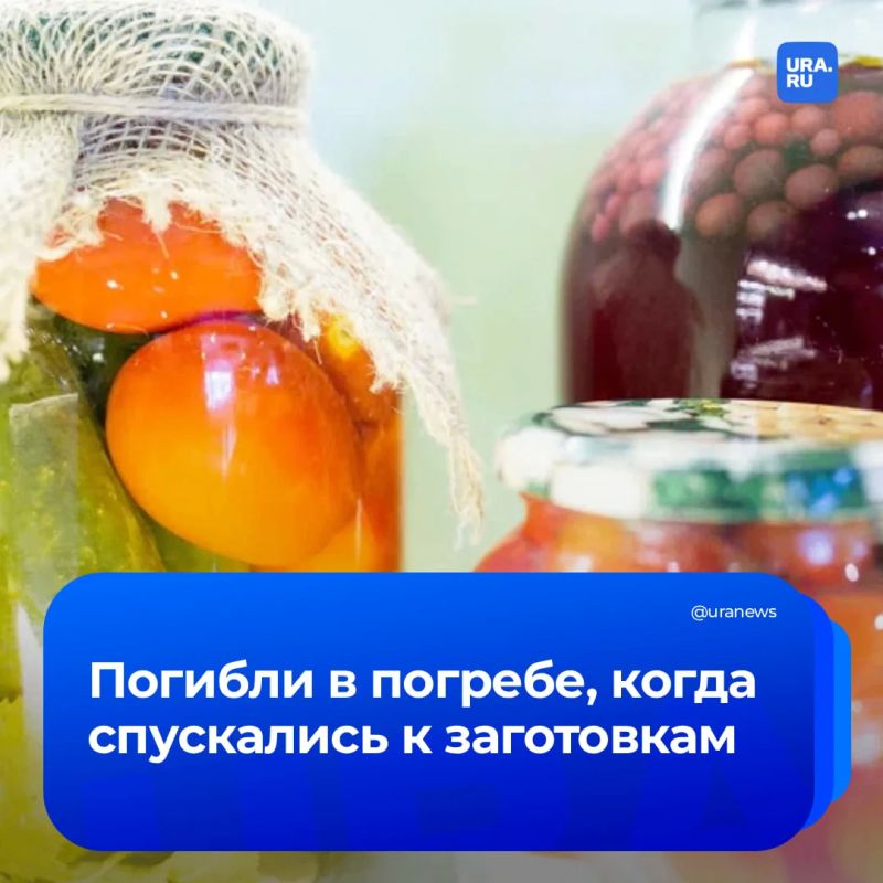В Свердловской области семья из трех человек задохнулась в погребе