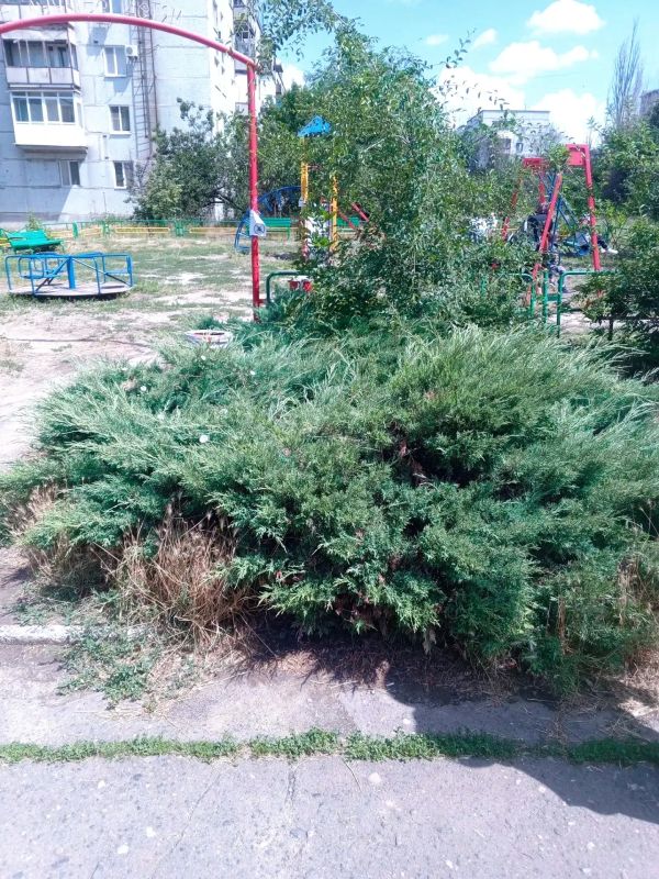 В Старобешевском округе продолжаются работы по благоустройству территорий В Старобешевском округе продолжаются работы по благоустройству территорий