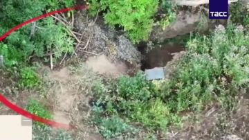Бойцы Южной группировки уничтожили НРТК, пункт управления БПЛА и автомобиль ВСУ в ДНР, сообщили в МО РФ
