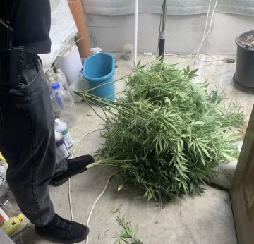 Полицейские изъяли наркотики у жителя Мариуполя