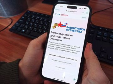 В ДНР будут оповещать бойцов СВО о льготах и выплатах через «Госуслуги»