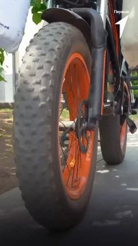 ����� �����������: ��� ������� �� �����������������
