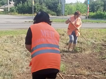 МБУ "Благоустройство" выполняет работы по прополке от сорной растительности цветников и покосу травы на территории городского округа Торез