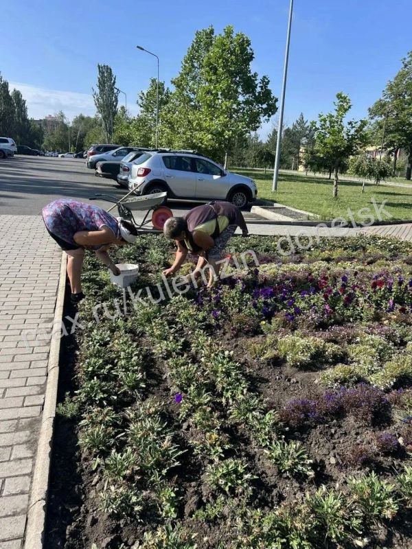 В эти летние дни сотрудники Дирекции парков активно продолжают работы по благоустройству В эти летние дни сотрудники Дирекции парков активно продолжают работы по благоустройству
