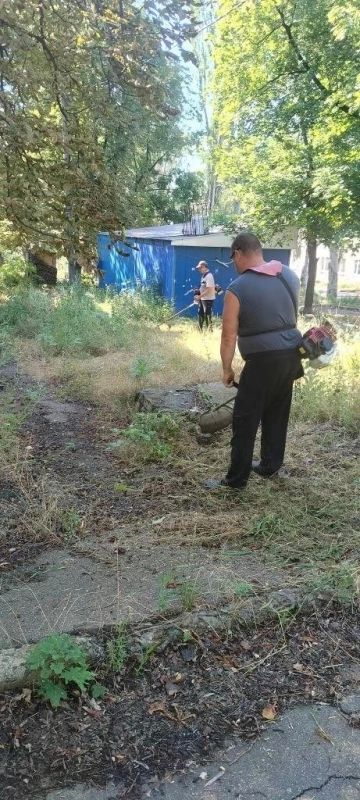 На протяжении всего лета в посёлке Новолуганское продолжался покос карантинных трав — и всё благодаря неравнодушным жителям, которые не остались равнодушны к своему посёлку На протяжении всего лета в посёлке Новолуганское продолжался покос карантинных трав — и всё благодаря неравнодушным жителям, которые не остались равнодушны к своему посёлку