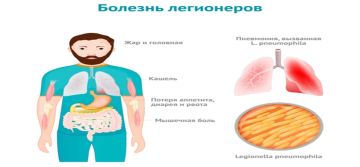 Legionella pneumophila � ��� �����������������, ���������, �������� ��������, ������������� � ��������� Legionellaceae