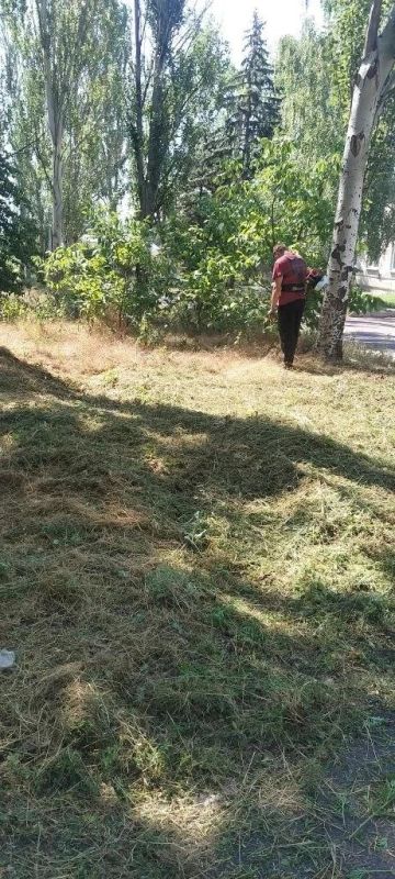 На протяжении всего лета в посёлке Новолуганское продолжался покос карантинных трав — и всё благодаря неравнодушным жителям, которые не остались равнодушны к своему посёлку На протяжении всего лета в посёлке Новолуганское продолжался покос карантинных трав — и всё благодаря неравнодушным жителям, которые не остались равнодушны к своему посёлку