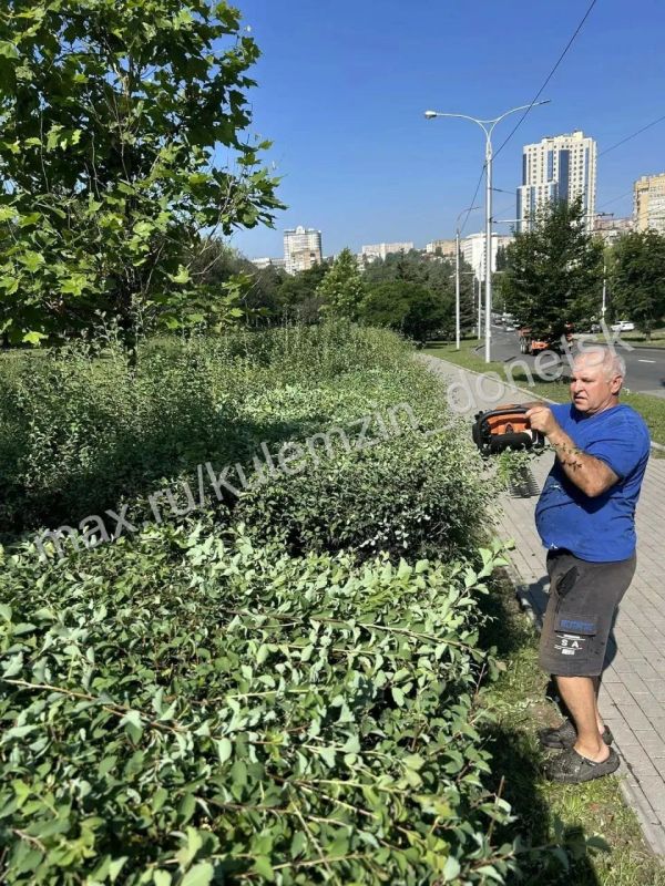 В эти летние дни сотрудники Дирекции парков активно продолжают работы по благоустройству В эти летние дни сотрудники Дирекции парков активно продолжают работы по благоустройству