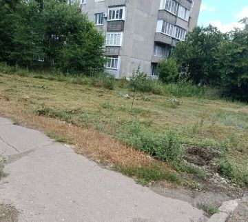 С целью приведения территории в надлежащее санитарное состояние в Кировском внутригородском районе города Макеевки силами Макеевского филиала УНКО «Единый региональный фонд по управлению многоквартирными домами на территории...
