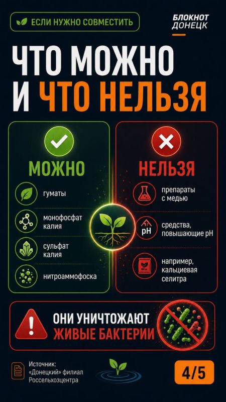 После дождей растениям нужна защита от грибковых заболеваний: советы огородникам ДНР После дождей растениям нужна защита от грибковых заболеваний: советы огородникам ДНР
