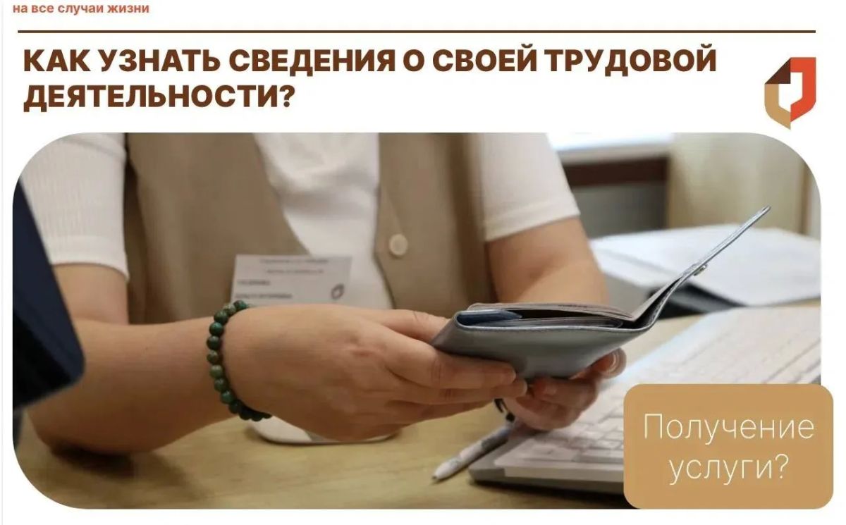 Как узнать сведения о своей трудовой деятельности?