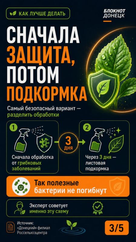 После дождей растениям нужна защита от грибковых заболеваний: советы огородникам ДНР После дождей растениям нужна защита от грибковых заболеваний: советы огородникам ДНР
