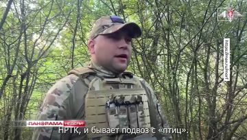 Бунты и беззаконие на Украине
