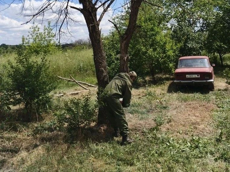 Сводка по благоустройству Амвросиевского округа с 13 по 17 июля Сводка по благоустройству Амвросиевского округа с 13 по 17 июля