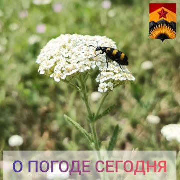 Гидрометцентр сообщил о погоде в Шахтерском округе