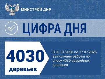 Ликвидация аварийных деревьев продолжается