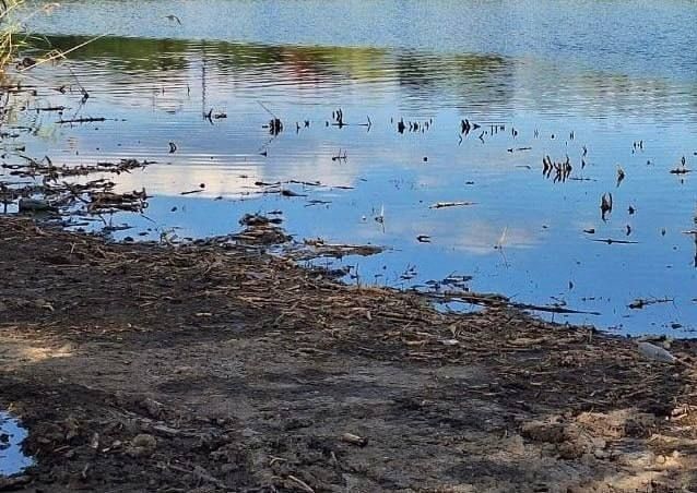 Берега Кальмиусского водохранилища приводят в порядок, но купаться запрещают Берега Кальмиусского водохранилища приводят в порядок, но купаться запрещают