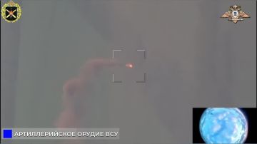 «Беркут» уничтожает 122-мм САУ 2С1 ВСУ под Камышевахой