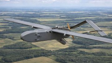 Марьяна Наумова: FP-1 УМНЫЙ УКРАИНСКИЙ КАМИКАДЗЕ С ЗАПАДНОЙ НАЧИНКОЙ: