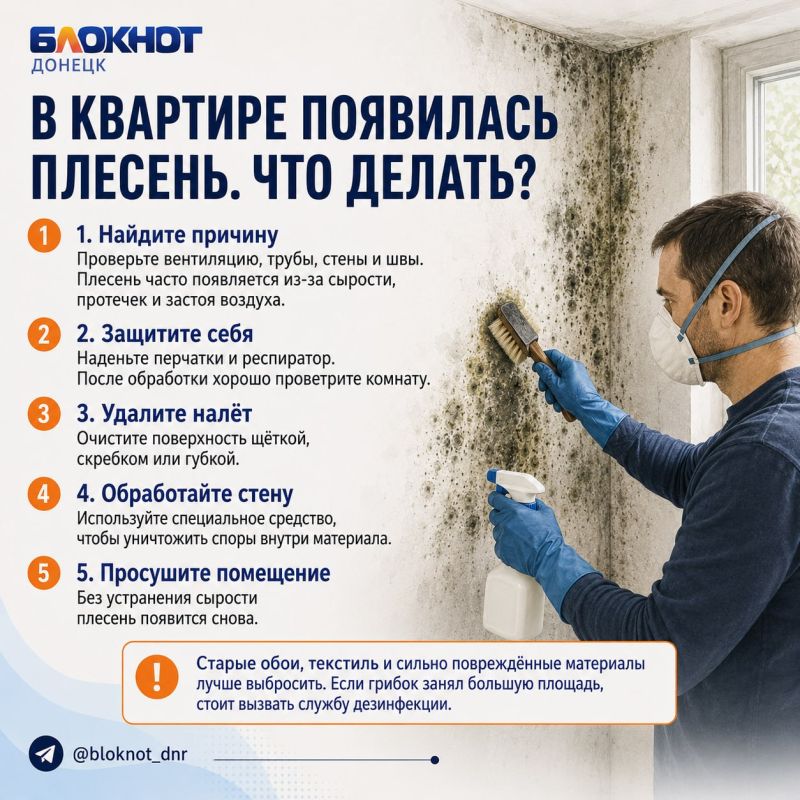 Плесень на стенах сама не исчезнет: чем её убрать и как не допустить возвращения Плесень на стенах сама не исчезнет: чем её убрать и как не допустить возвращения