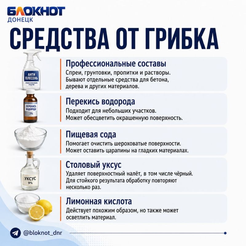 Плесень на стенах сама не исчезнет: чем её убрать и как не допустить возвращения Плесень на стенах сама не исчезнет: чем её убрать и как не допустить возвращения